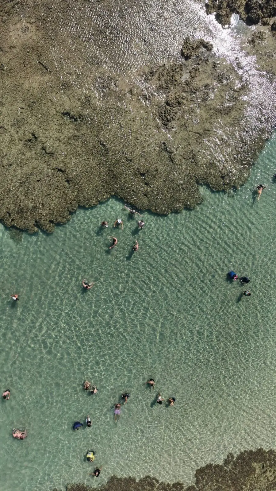 Paisagem paradisíaca de Maragogi