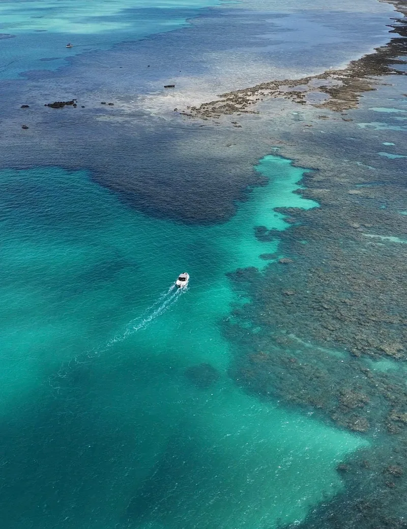 Passeio de lancha em Maragogi